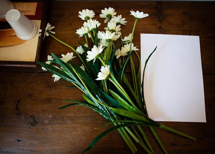 Biglia ドモドッソラ